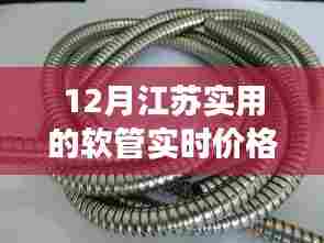 江苏地区十二月软管实时价格解析，多方观点与个人立场探讨