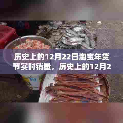 淘宝年货节实时销量深度评测,历史数据揭示的12月22日盛况