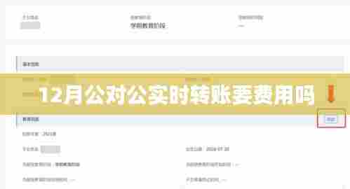 12月公对公实时转账是否需要费用？