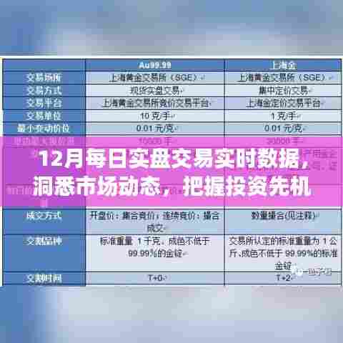 12月实时交易数据解析,洞悉市场,掌握先机