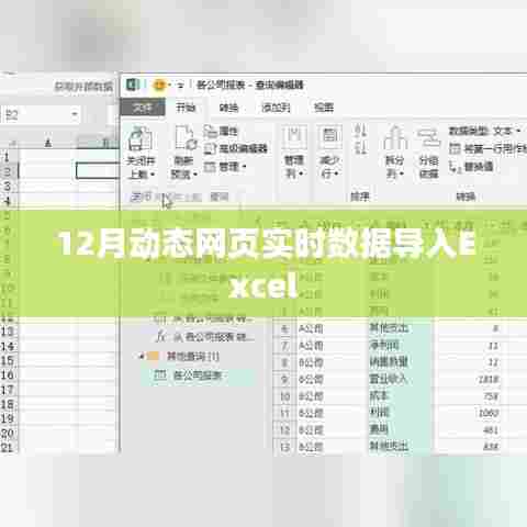 12月动态网页数据实时导入Excel操作指南