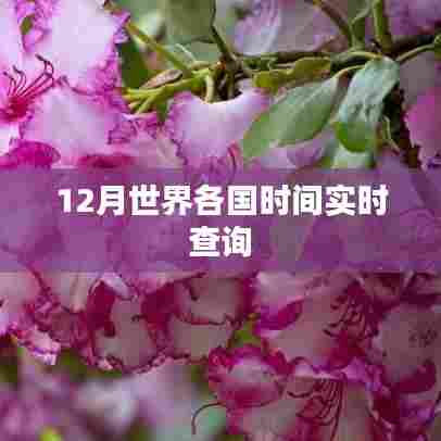 全球实时时间查询，各国时间一键掌握