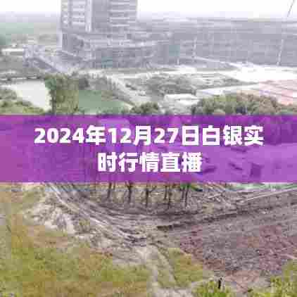 2024年白银行情直播，最新动态与趋势分析