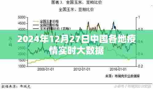中国各地疫情实时大数据(最新更新至2024年12月)