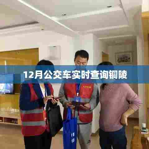 铜陵公交实时查询系统,12月公交车到站时间查询