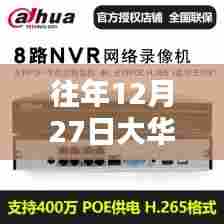 大华录像机实时预览功能介绍