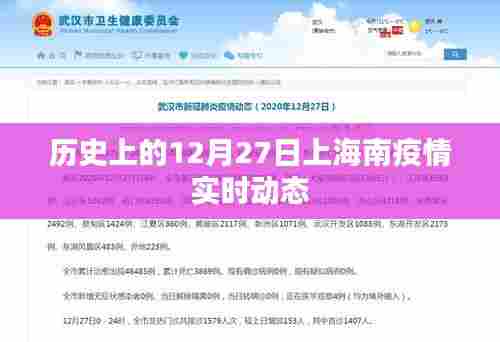 上海南疫情实时动态,历史视角下的疫情发展