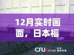 日本福岛核电站最新动态，十二月实时更新画面