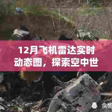 探索空中世界，实时飞机雷达动态图展示
