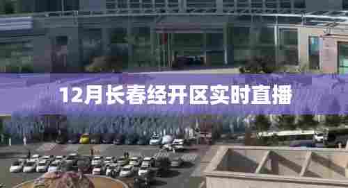 长春经开区12月实时直播概况