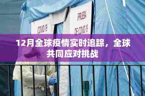 全球疫情实时追踪，共同应对挑战