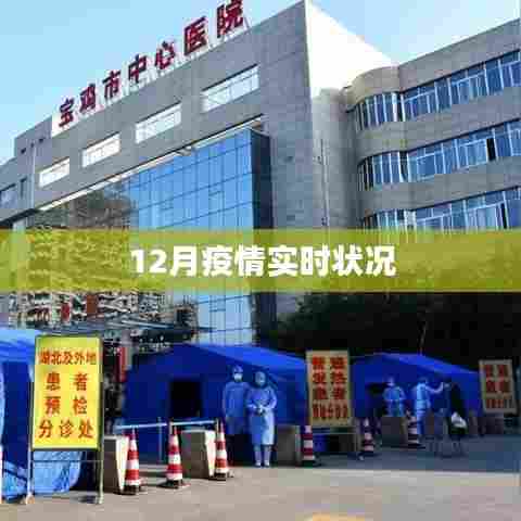 12月疫情最新实时动态，简洁明了，能够准确反映文章主题，符合用户的搜索需求。