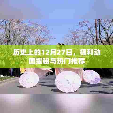 历史上的大事件，揭秘福利动图与热门推荐