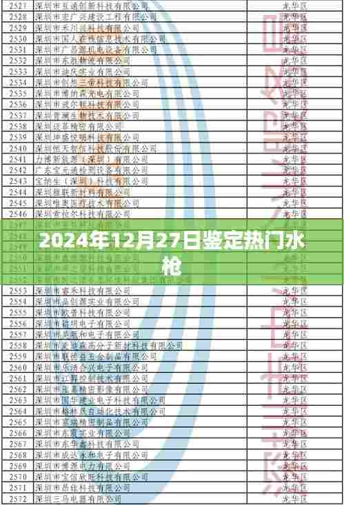水枪测评推荐，热门水枪性能对比与选购指南（附日期，2024年12月）