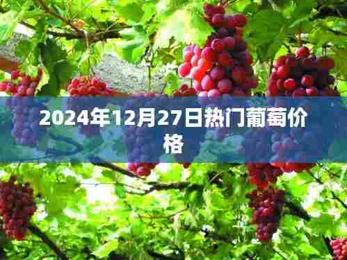 关于葡萄价格趋势，最新热门葡萄报价
