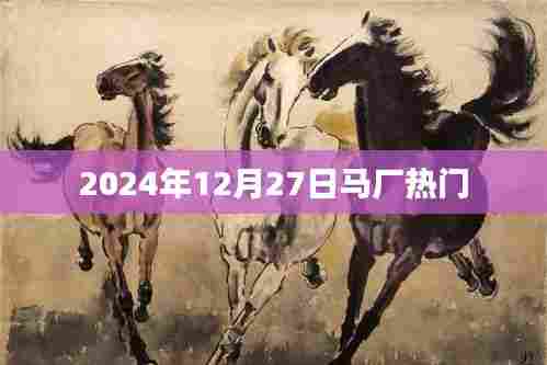 马厂热点聚焦，2024年12月27日动态