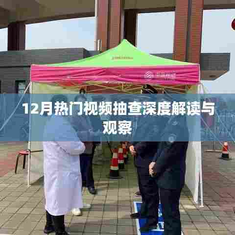 12月热门视频深度解读与观察报告