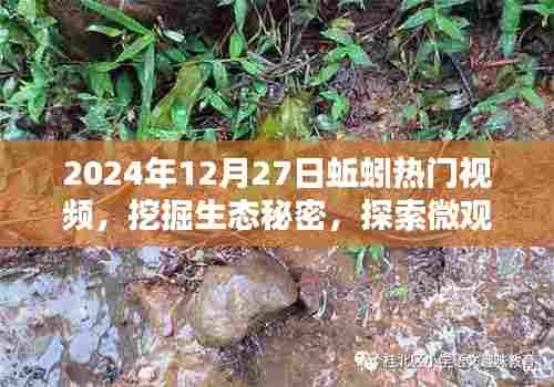 揭秘蚯蚓生态秘密，探索微观世界热门视频
