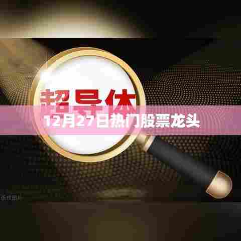 股市风向标，揭秘热门股票龙头