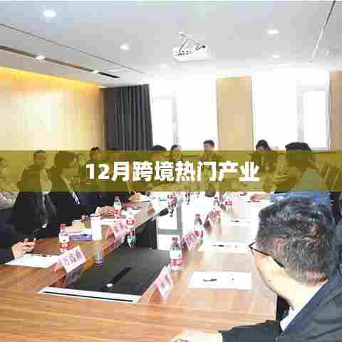 跨境热门产业概览，聚焦十二月动态