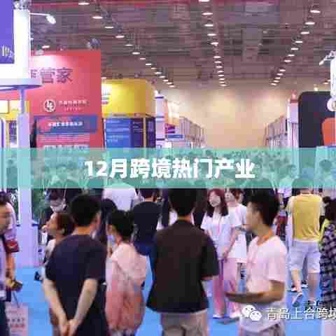 跨境热门产业概览,聚焦十二月动态