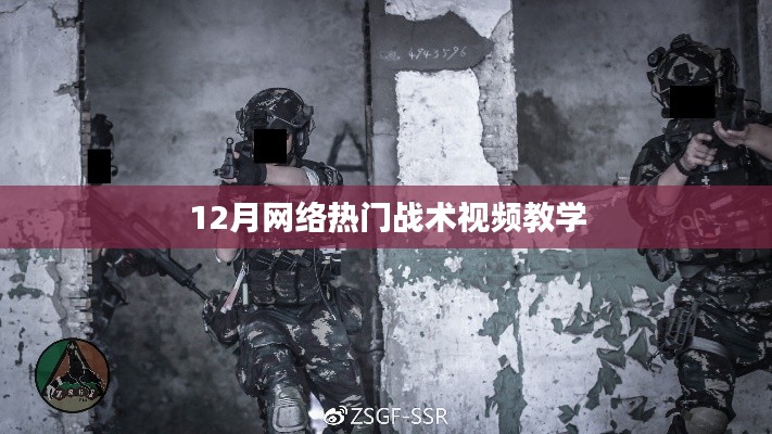 12月网络热门战术解析与教学视频