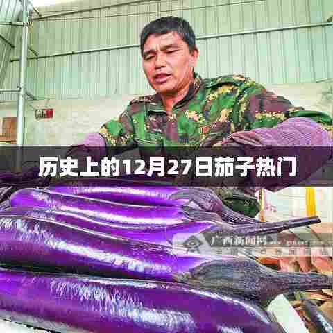 历史上的茄子热门事件,揭秘茄子背后的故事