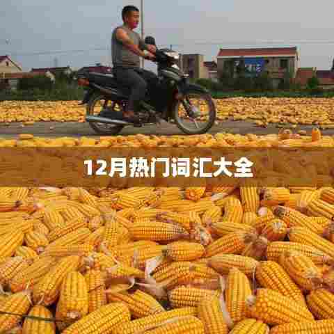12月流行词汇一网打尽