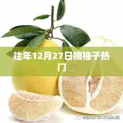 柚子采摘季，年末27日热门活动揭秘