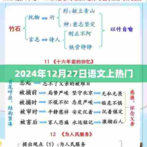 语文热点，揭秘2024年12月27日背后的故事