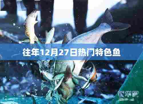 衣不重采 第3页