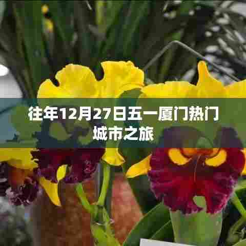 五一厦门之旅,热门城市探秘之旅