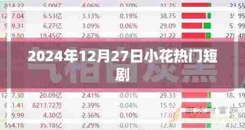 小花热门短剧,2024年12月27日精彩抢先看