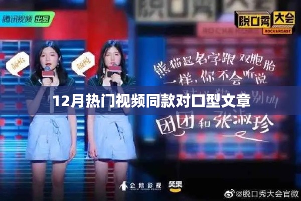 12月热门视频对口型文章，同步流行风潮