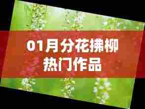 01月分花拂柳，热门作品赏析