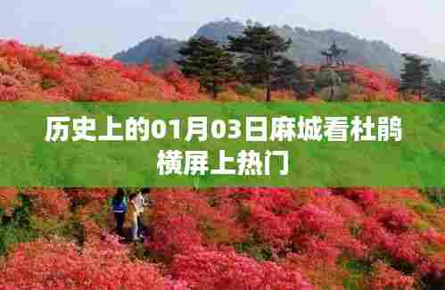 麻城杜鹃盛宴,历史视角下的横屏热门事件