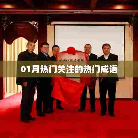 热门成语大揭秘，一月份最受瞩目词汇