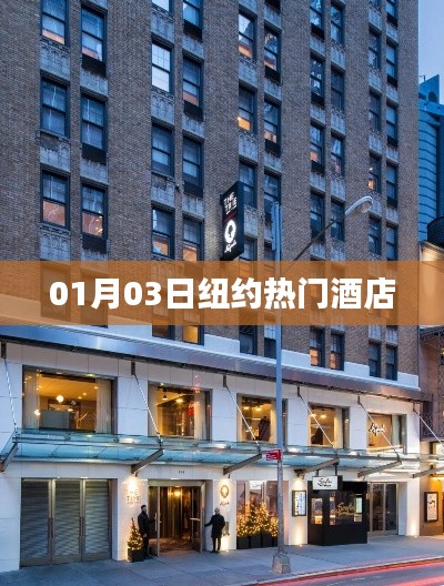 纽约热门酒店住宿推荐（日期，01月03日）