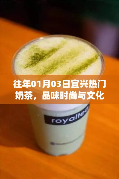 惊弓之鸟 第3页
