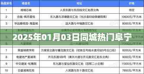 阜宁同城热门活动一览（2025年1月）
