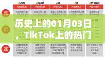TikTok热门品类回顾,历史上的01月03日