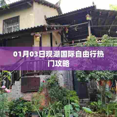 观湖国际自由行，热门攻略一网打尽