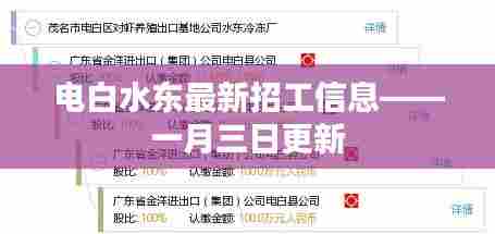 电白水东最新招工信息更新，一月三日的就业机会