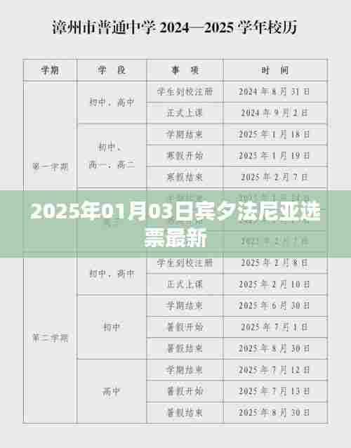 宾夕法尼亚州最新选票结果（2025年1月3日）