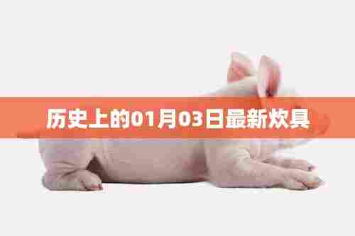 物是人非 第3页