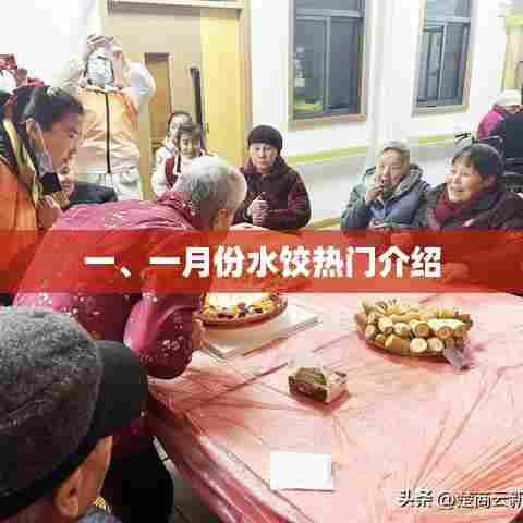 一月份热门水饺介绍与推荐