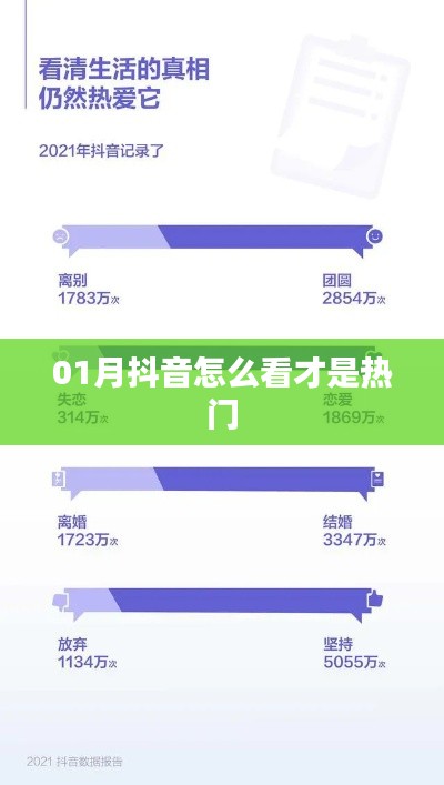 抖音热门观看指南,一月热门内容解析