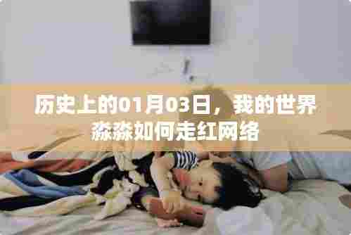 我的世界淼淼网络走红记,历史性的01月03日