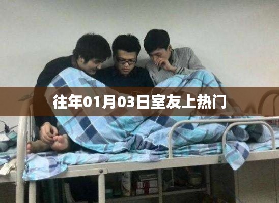 室友上热门背后的故事，揭秘背后的秘密