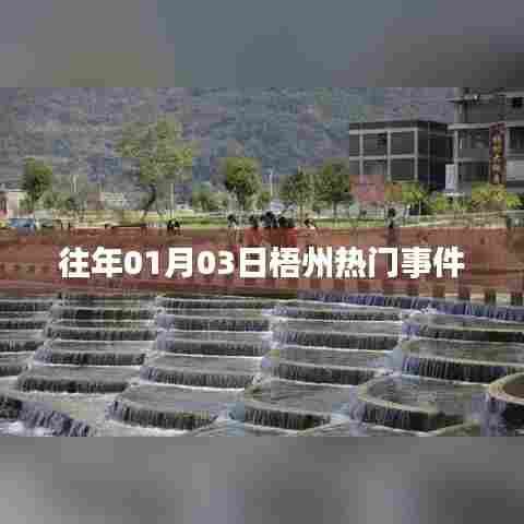 梧州元旦热门事件回顾